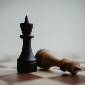 king / chess game / chessboard / defeat / winner